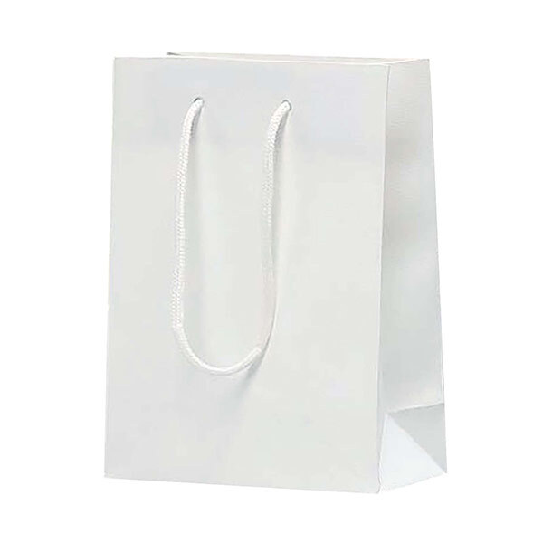 クラフトエンボスバッグ（XS）