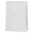 クラフトエンボスバッグ（L）