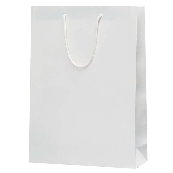 クラフトエンボスバッグ（L）