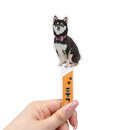 フリー型アクリルフォトプロップス（S）