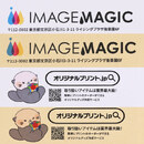 印刷は封筒の地色の影響を受けるため、色味が異なって見える場合があります