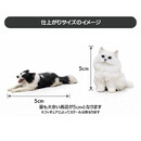 仕上がりサイズのイメージ