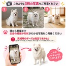 写真選びのポイント