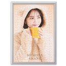 シルバー・ホワイトの2色のフレーム(オプション・有料)