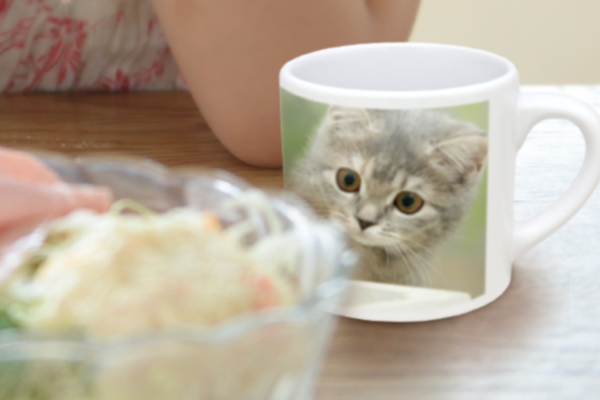 大好きなペットの写真をプリントして自分だけの特別なマグカップに!