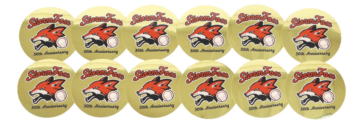 12枚並べたカット