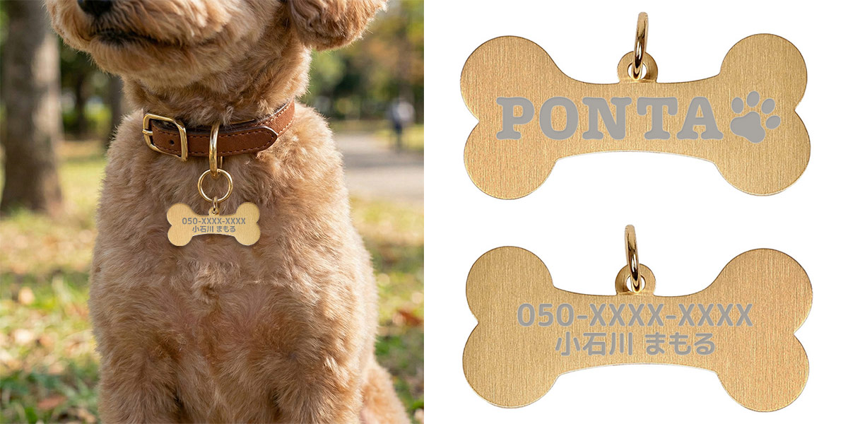 利用シーン+イメージ