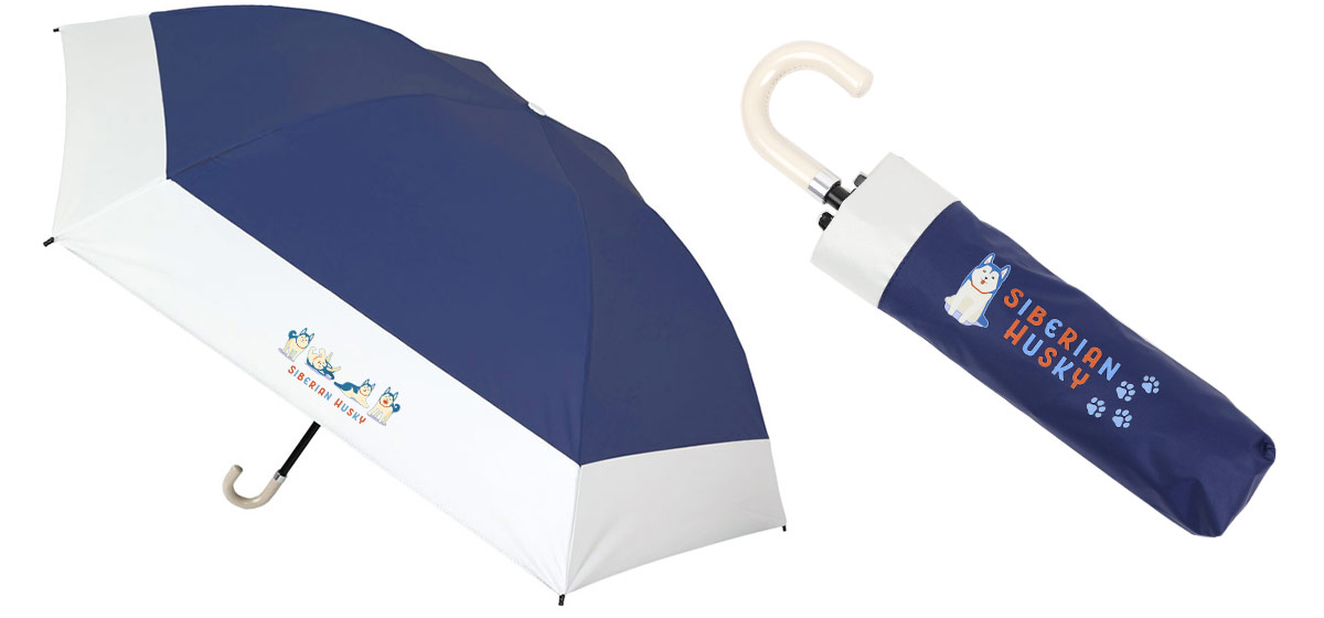 プリントあり　DTTS