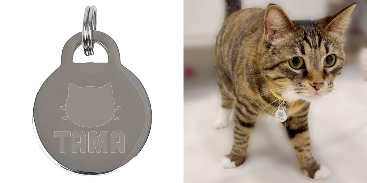 利用シーン+イメージ