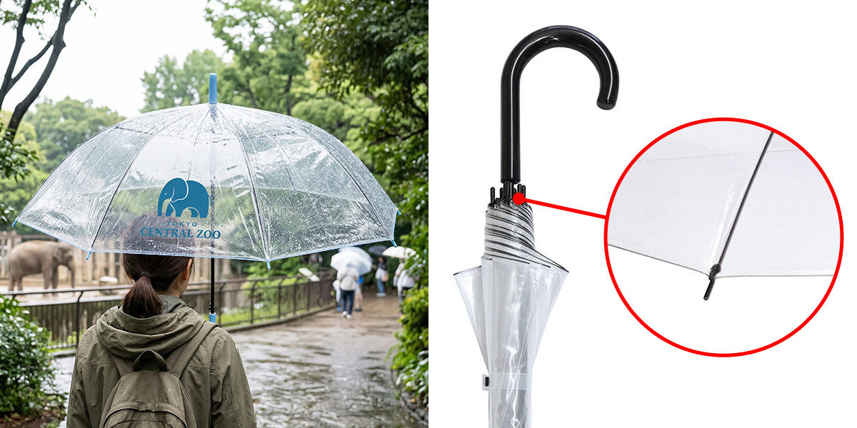 クリアジャンプ傘 60cm（10本セット）利用シーン横並び