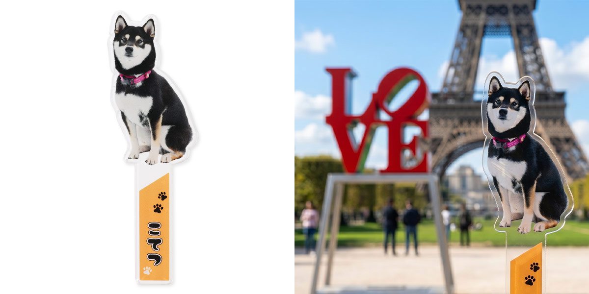 平置き正面+利用シーン