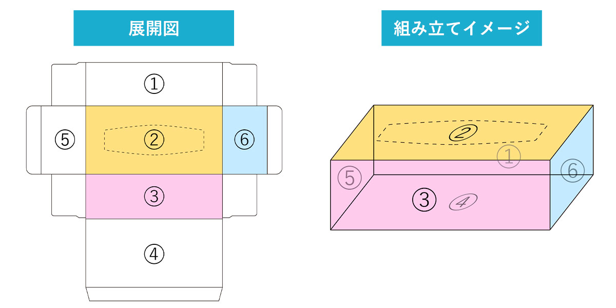 展開図+組み立てイメージ