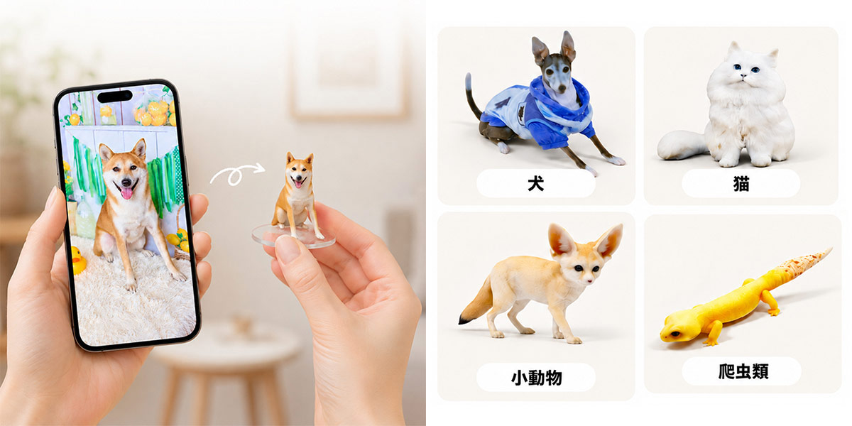 データ+サンプル横並び