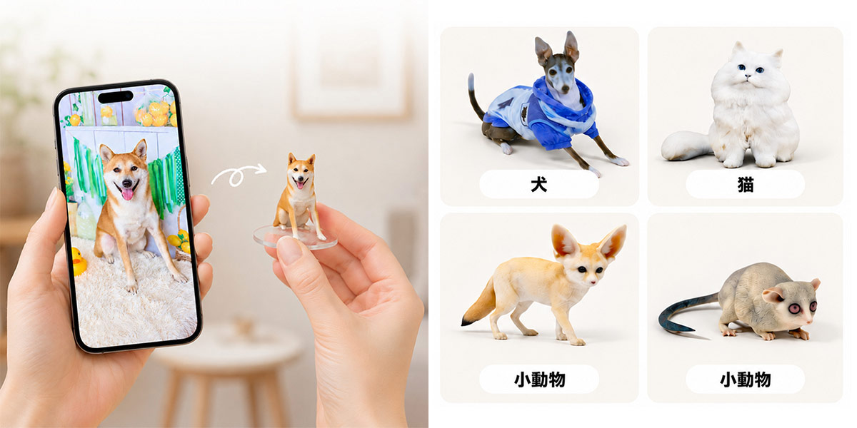 データ＋サンプル横並び