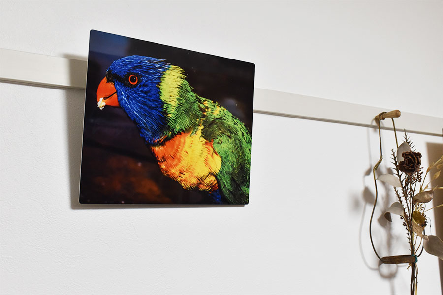 6壁に飾った鳥の写真パネル