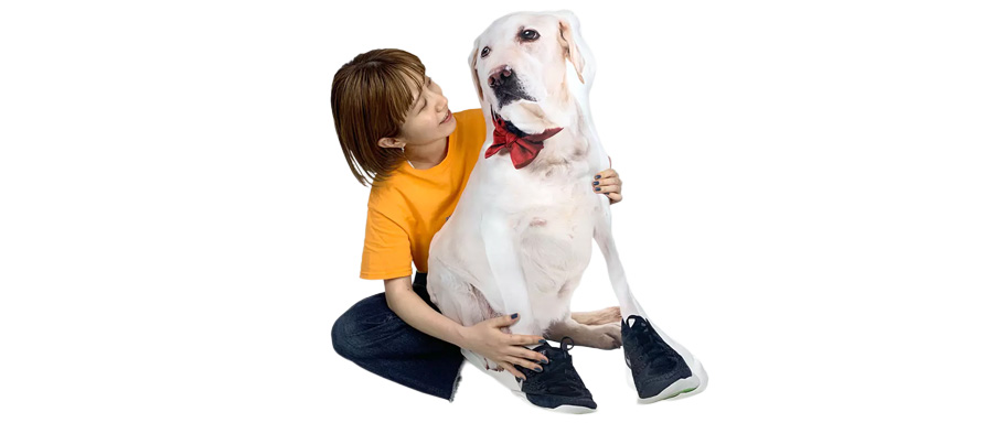 女性が抱きかかえる、赤い蝶ネクタイと黒い靴を履いた大型犬の動物ダイカットクッション。リアルなペットのクッション。