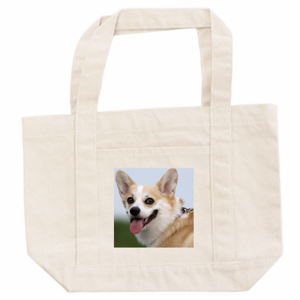 12oz キャンバスホリデートート(S)