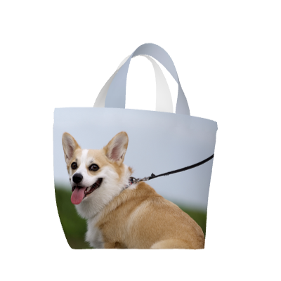 全面印刷 トートバッグ(S)