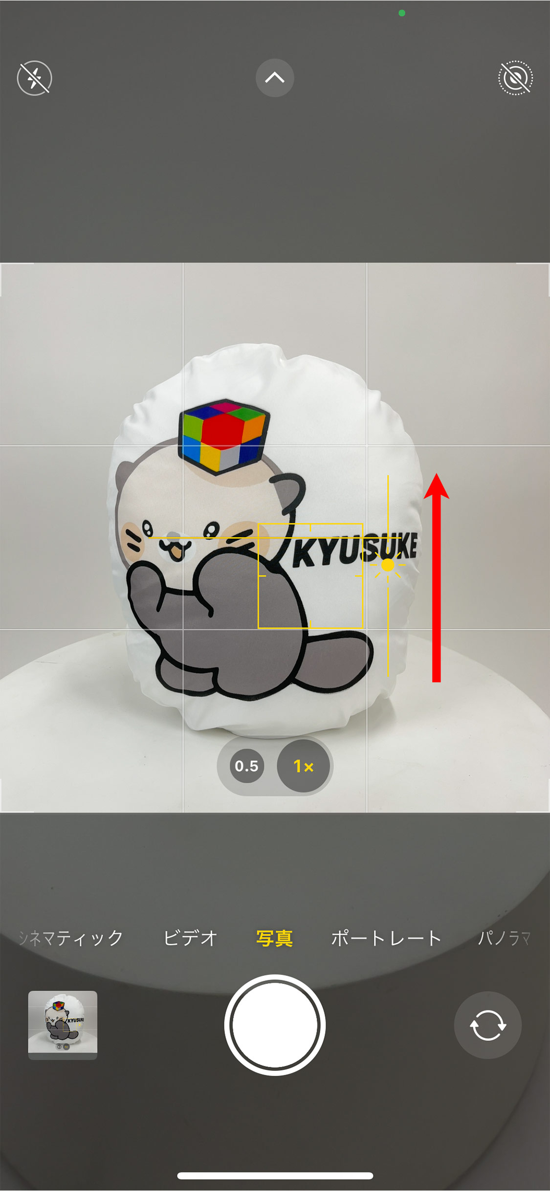 成功事例と失敗事例