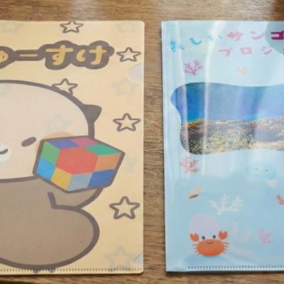 クリアファイル つやありとつやなしの違い