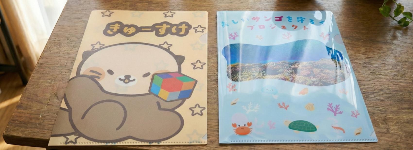 クリアファイル つやありとつやなしの違い