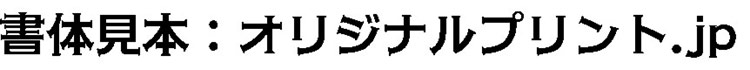 セリフゴシックRE