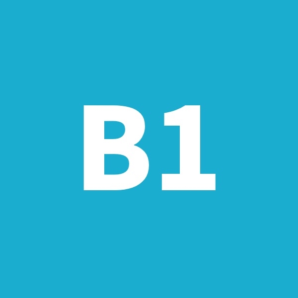 B1