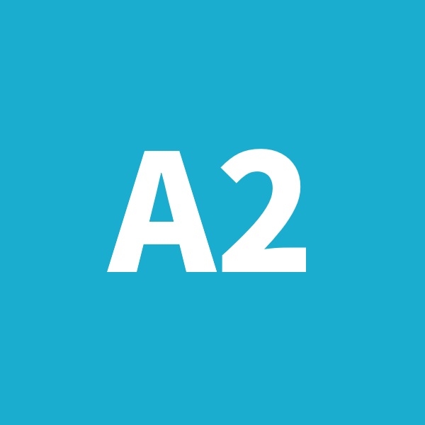 A2