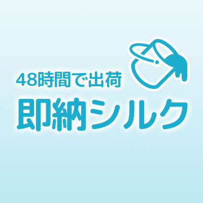 即納シルク48H