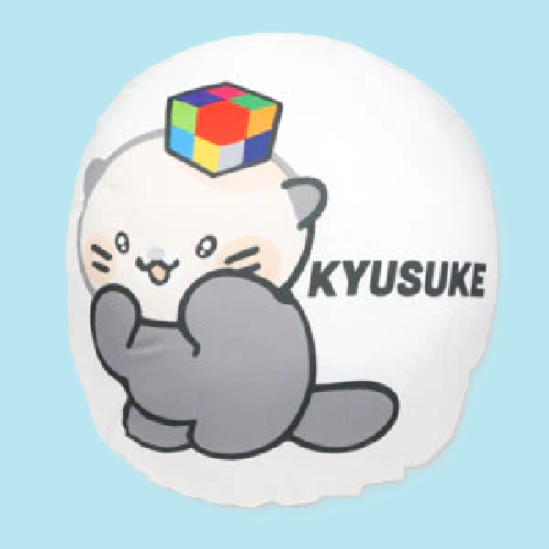 定型クッション