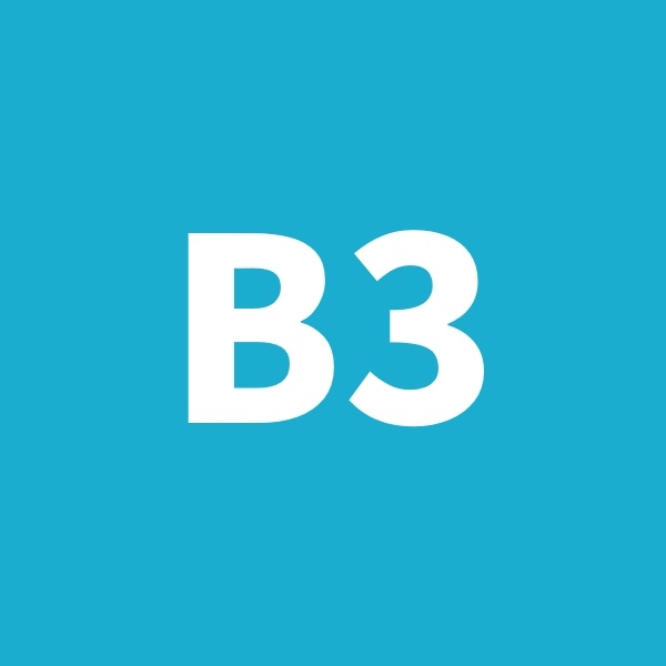 B3