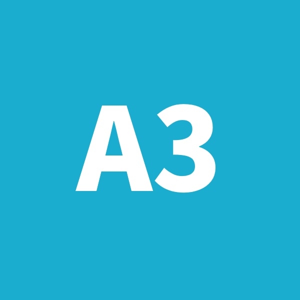 A3