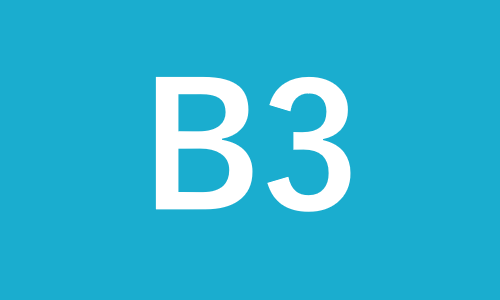 B3