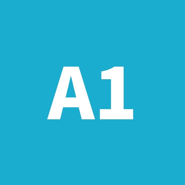 A1