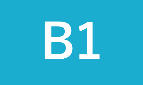 B1