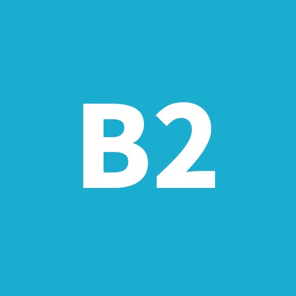 B2