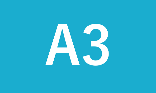 A3