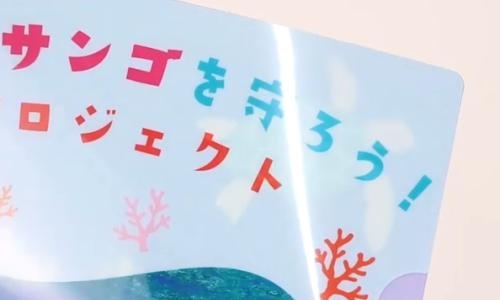 【ツヤあり】クリアファイル