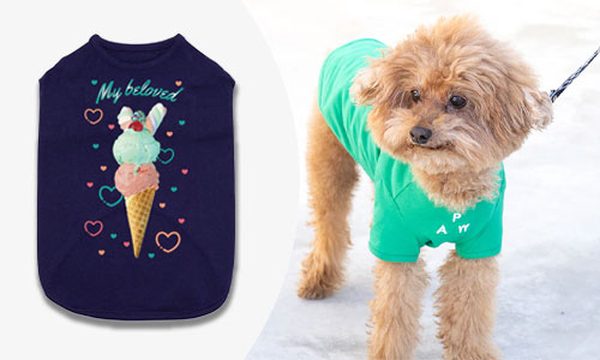 オリジナル犬用Tシャツ