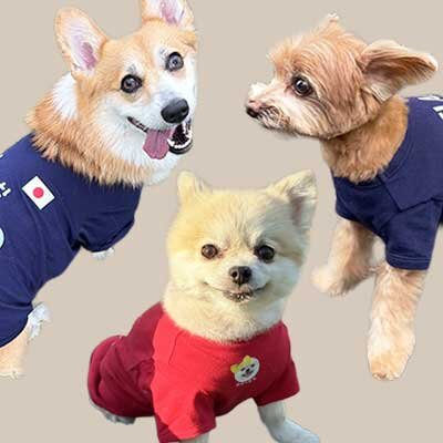 オリジナルペットTシャツ着用例まとめ