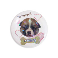 スターホログラム缶バッジ 安全ピン(丸型)38mm