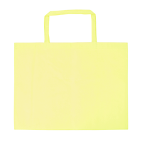 イエロー 不織布バッグ(特大)