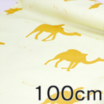 ブロード 100cm x 100cm