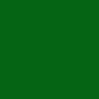 グリーン フリー型キーホルダー（クリアグリーン）