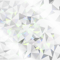 シルバー フリー型キーホルダー(シルバーホログラム)