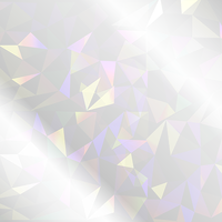 その他 フリー型キーホルダー（ホログラム）