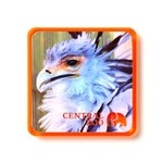 角型アクリルマグネット(クリアオレンジ)