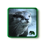 角型アクリルマグネット(クリアグリーン)