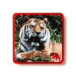 角型アクリルマグネット(クリアレッド)