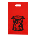 1色印刷 A4 プロモバッグ（カラー）